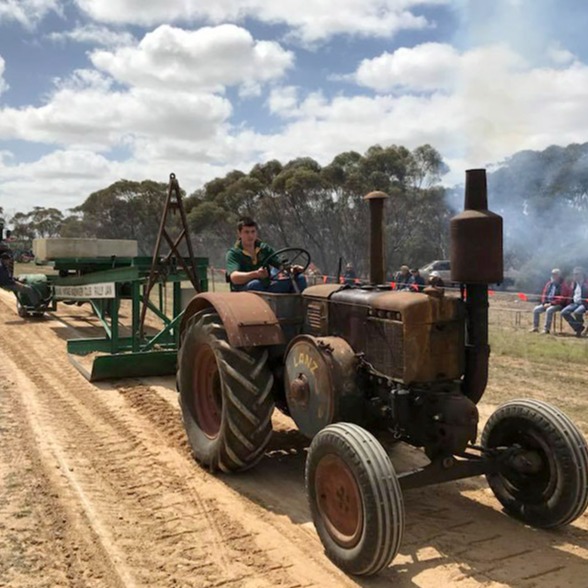 Vintage tractor in action